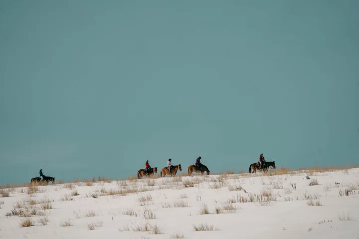 Five people riding horses on a snowy hill under a clear sky.