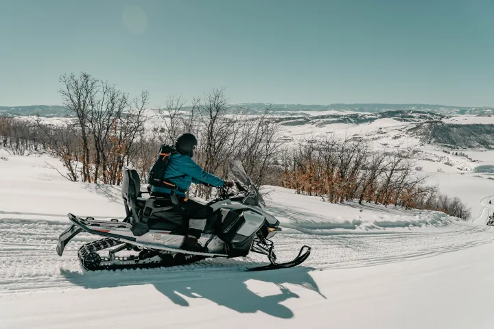Person riding a snowmobile on a snowy hill with bare trees and mountains in the background.