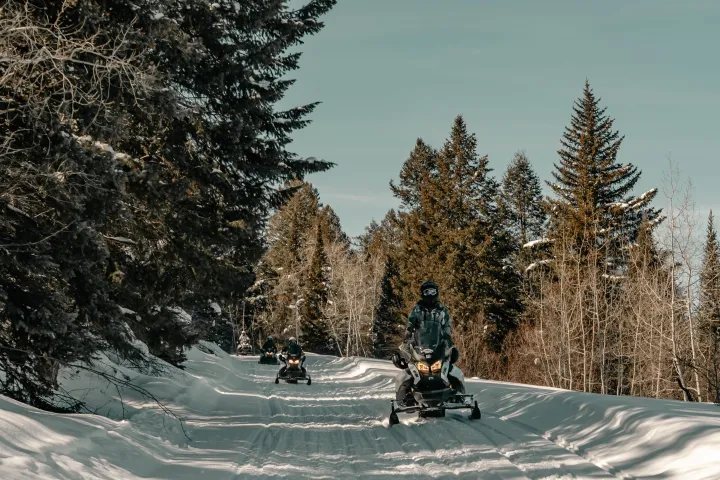 Two people riding snowmobiles on a snowy trail surrounded by pine trees.