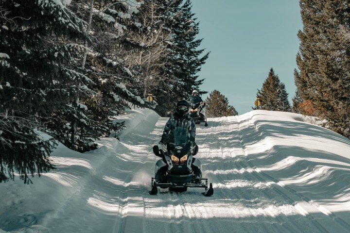 Two snowmobiles ride through a snowy forest trail under a clear blue sky.