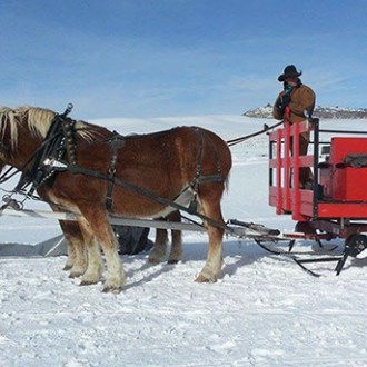 Saddleback-Ranch-Sleigh-Rides