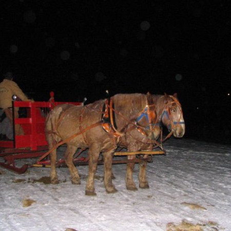 Sleigh-Rides-at-Saddleback-Ranch