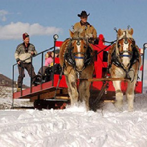 Steamboat-Springs-Dinner-Sleigh-Ride