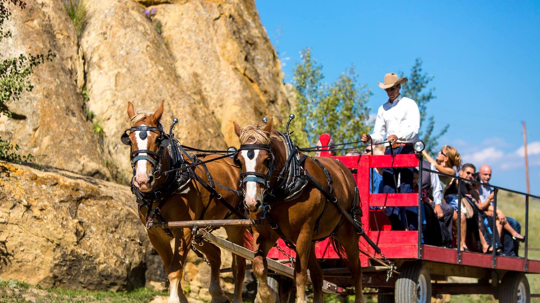 Dinner Wagon Ride