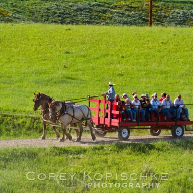 Steamboat Springs Wagon Dinner Ride