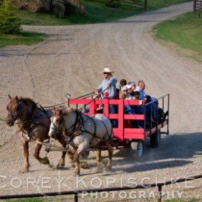 Steamboat Springs Wagon Dinner Ride