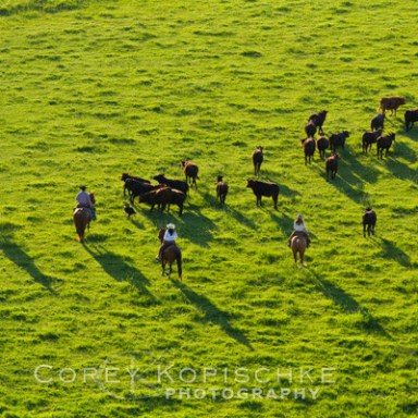 Steamboat Springs Trail Riding