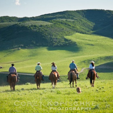 Steamboat Springs Trail Riding