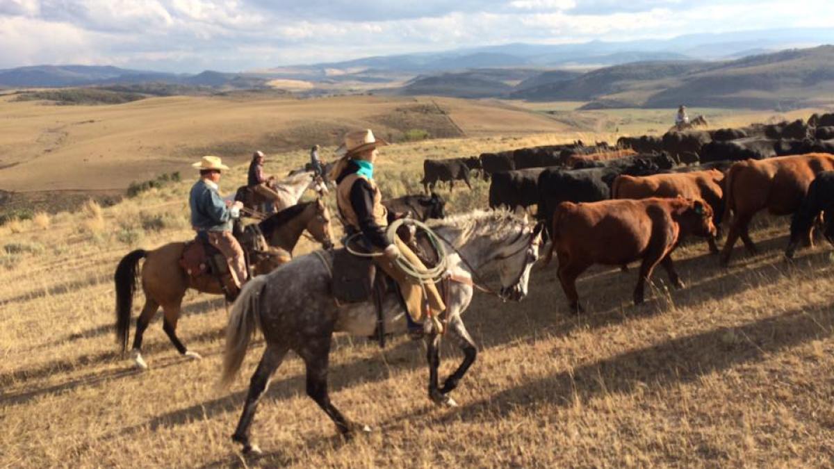 Bailey Horseback Riding in Steamboat Springs
