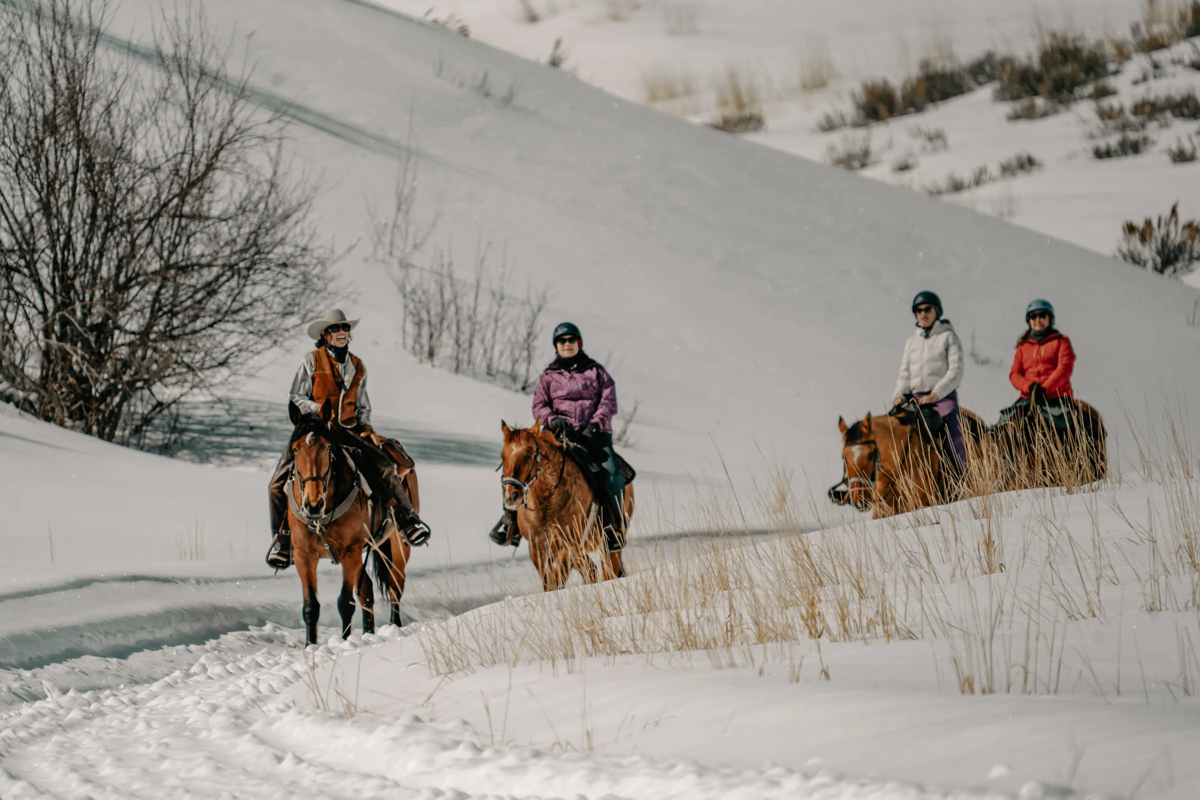 Four people on horseback ride through a snowy landscape with sparse vegetation.
