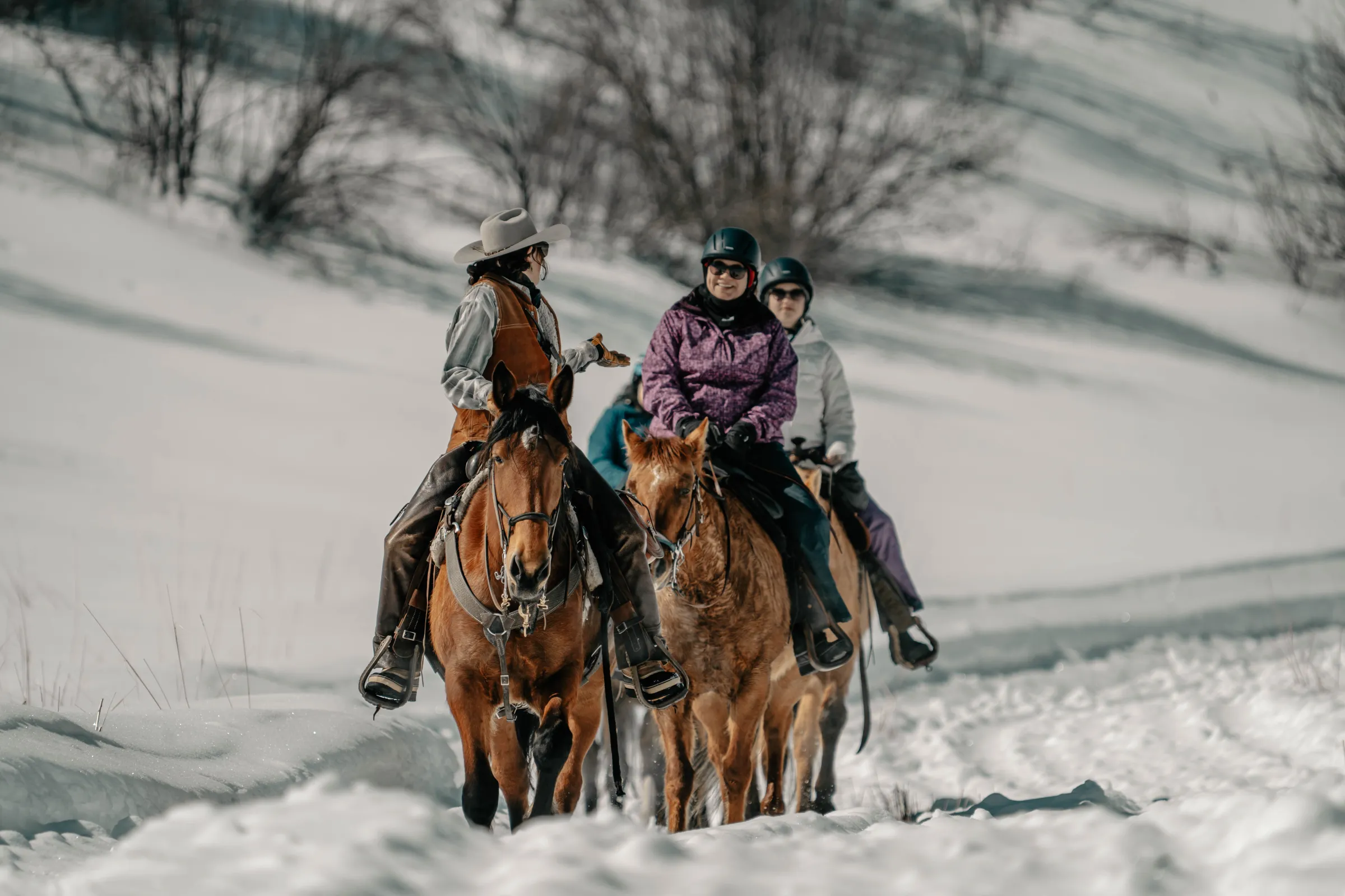 Three people horseback riding in a snowy landscape with trees in the background.