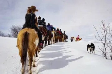 People riding horses in a line on a snowy path with a dog nearby.